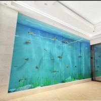 PG Large Custom Acrylic Aquarium Glass Sheet