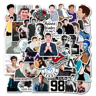 50pcs wholesales shawn mendes waterproof and removable decal vinyl sticker